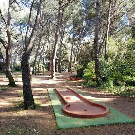 Apartment T2 Avec Wi-fi, Parking Prive, Piscine Et Tennis A 200m Des Plages Et Commerces - Fr-1-316-259