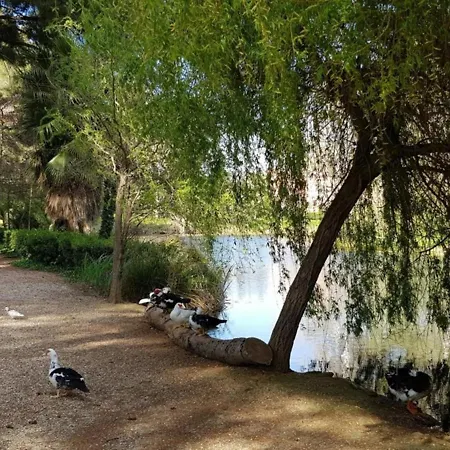 T2 Avec Wi-fi, Parking Prive, Piscine Et Tennis A 200m Des Plages Et Commerces - Fr-1-316-259 *
